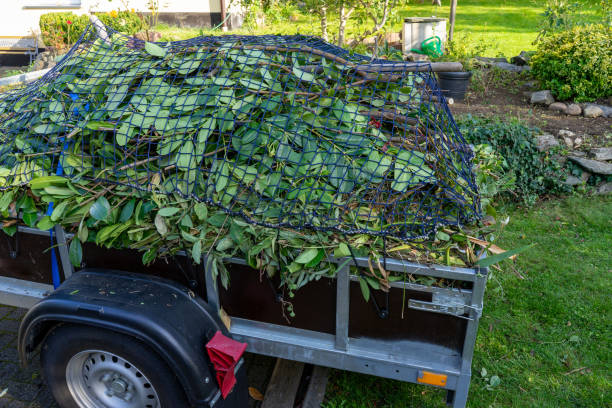 Best Recycling Services for Junk  in Cedar Glen Lakes, NJ